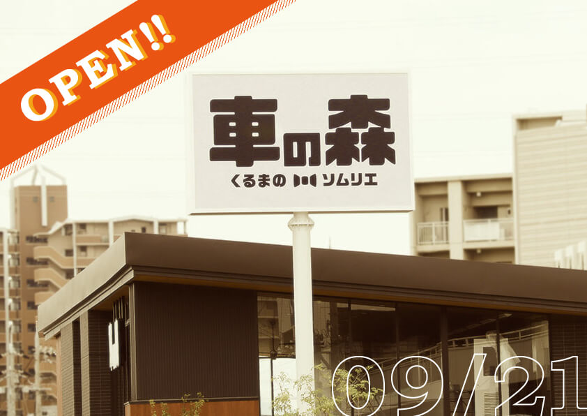 ??Ź?ޤ??ͻ?